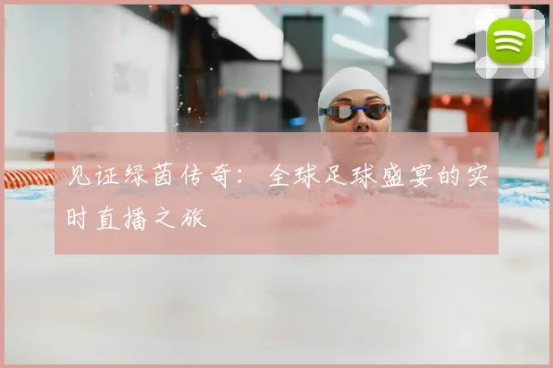 见证绿茵传奇:全球足球盛宴的实时直播之旅